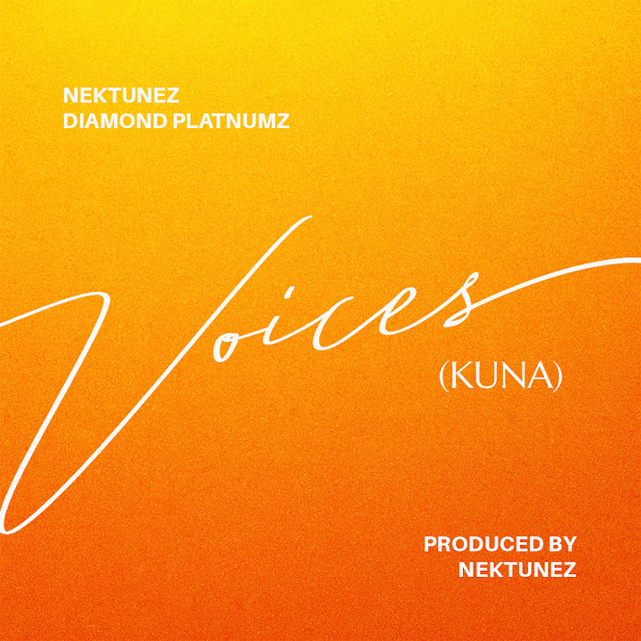 Music Audio : Nektunez Ft Diamond Platnumz Voices (Kuna) | Download